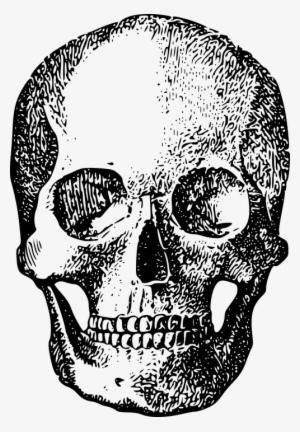 Black Skull Ftestickers - Gillian Clarke Lunchtime Lecture