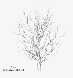 Tree In Winter Drawing At Getdrawings - Winter Snow Tree Png