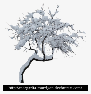 File Max, For Computer Aidan Floyd - Winter Trees Transparent Png