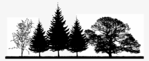 The Right Tree, In The Right Place, Can Help Provide - Oak Tree Silhouette Png