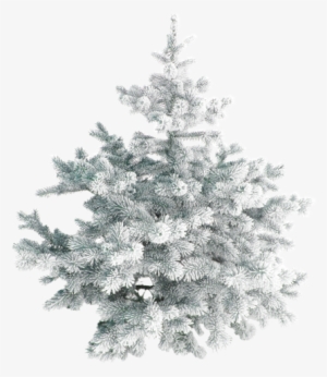 Похожее Изображение - Snowdrop Die Maltesische Weihnachtskarte Karte