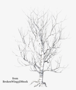A Tree In Winter - Winter Trees Transparent Background