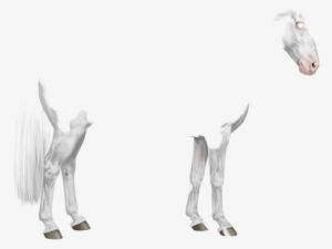 Equiverse Smoky Cream Dun