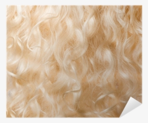 Blond Hair Background - Blond