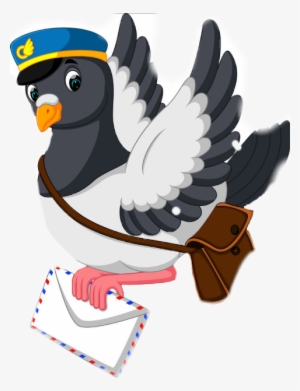 Pigeon Cartoon