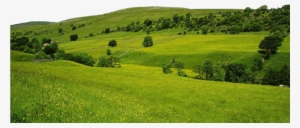 Green Nature Png File -use Freely By Theartist100 On - Temperate Grasslands In Europe