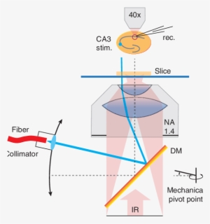 Beam Steering Through Condenser For Off-center Light - Numerical Aperture