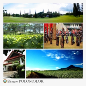 240 × 240 Pixels - Plantation