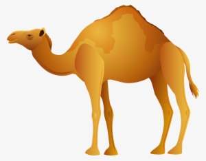 Camel Png Clip Art
