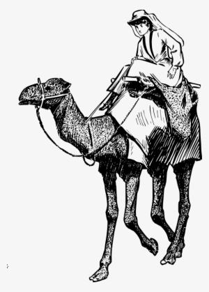 A Woman In A Camel - Woman In A Camel Art