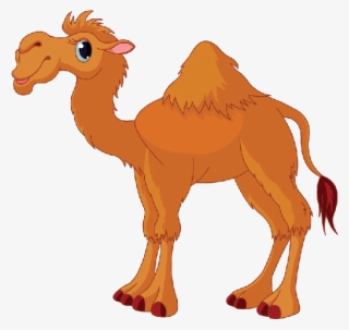 Nativity Camel Clip Art Gallery - Camel Cartoon