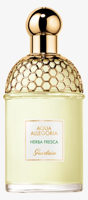 Aqua Allegoria - Herba Fresca - 125ml - Guerlain Aqua Allegoria Rosa