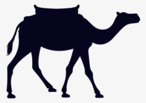 Animal, Camel, Mammal, Wildlife, Africa - Man On Camel Png