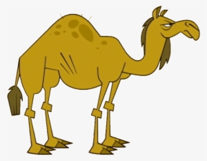 Camel - Total Drama World Tour Animals