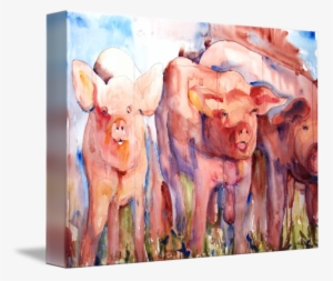 Png Library Pig Squeal Painting Farm Animal Art By - Gallery-wrapped Canvas Art Print 20 X 16 Entitled Pig