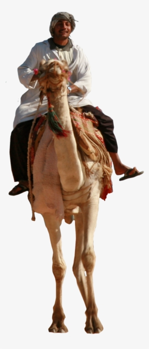 Man Riding Camel By Liber - Man Riding A Camel Png