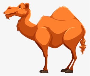 Download Free "camel Clipart 10" Png Photo, Images