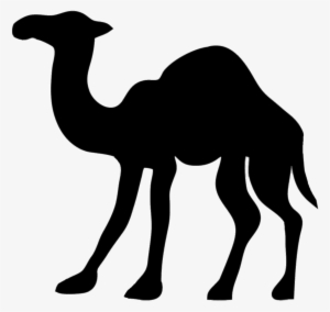 Camel Png - Camel Silhouette Transparent Background