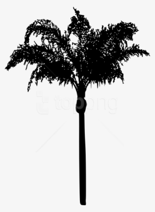 Free Png Palm Tree Png - Transparent Palm Trees Silhouette