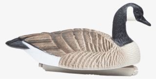 Final Approach 6 Goose Floating Decoys Model - Canada Goose