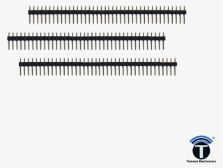 40 Pin Burg Strip - Statistical Graphics