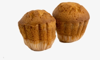 Cup Cake - Muffin