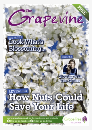 Grapevine Cover - Jasmine