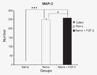 Map 2 Immunoreactivity Profiles At The Epicenter Of - Diagram