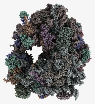 Realistic Preset Mode - Eye Shadow