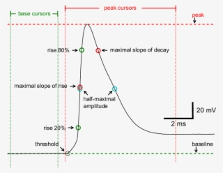 Principal Measurements Obtained When Base And Peak - Map
