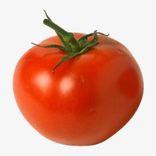 Tomate3 - Tomato Fruit