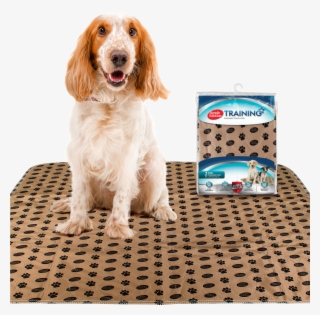 Simple Solution Large Washable Puppy Pad - Reusable Dog Pee Pads