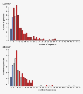 -size Distribution Of Orb Þ And (b) Orb À Gene Sets - Diagram