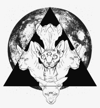 Sphynx Cat Sphynx Cat Geometric Black And White Redbubble - 2019 Moon Calendar Art