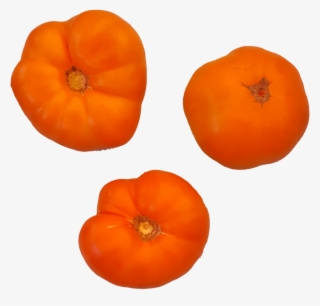 1532382429543 - Tomato