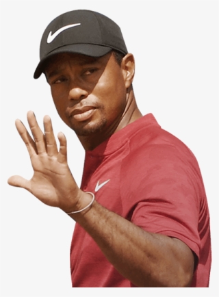Tiger Woods's Player Profile For The 148th Open At - Man
