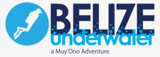 Bu W Mo - Graphic Design