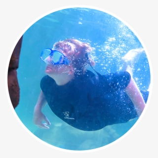 Select Number Of Snorkel With Stingrays Plus Admission - Underwater