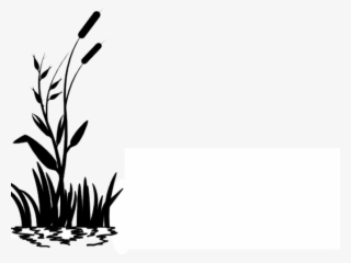 Grass Vector Png