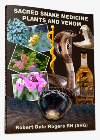 Sacred Snake Medicine, Plants And Venom - Champagne