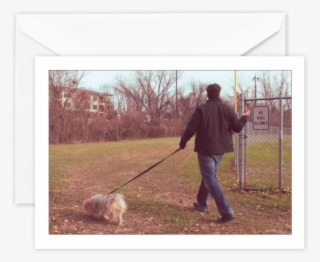 Blank No Dogs Allowed - Dog Walking