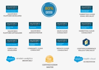 Certified Salesforce Team With Salesforce Accreditation - Salesforce.com
