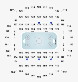 Springfield Thunderbirds At Charlotte Checkers - Section Center Row V Seat 8 Bojangles Coliseum