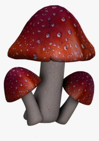 Fly Agaric, Mushrooms, Fantasy, Digital Art, Isolated - Pilze Transparenter Hintergrund