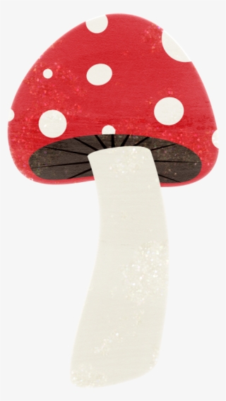 ‿✿⁀shrooms‿✿⁀ Fungi - Shiitake