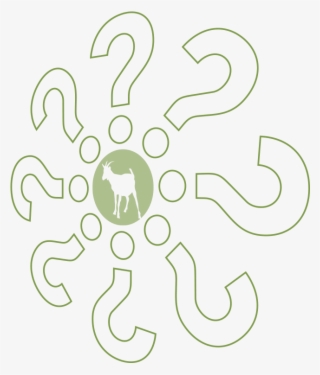 Questions About Easykeeper