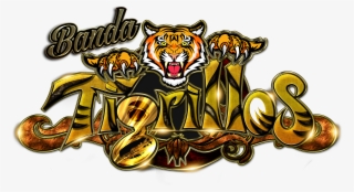 Tigrillos - Bengal Tiger