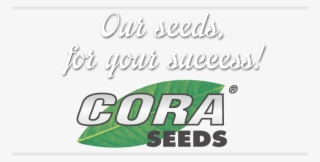 Seed
