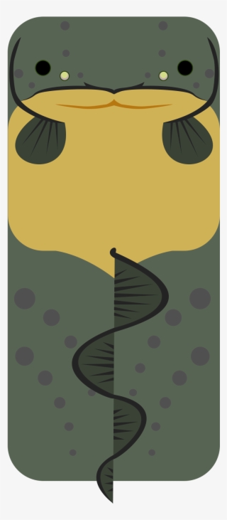 Electric Eel Arthur Wiki Fandom Powered - Deeeep Io Electric Eel