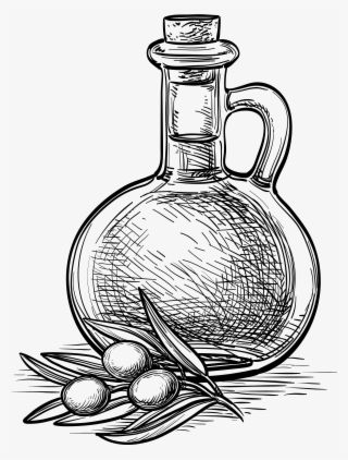 2541 X 3291 5 - Olive Sketch Vector Free